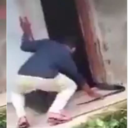 Homem tenta pegar serpente pela cauda e vídeo ganha destaque na rede social