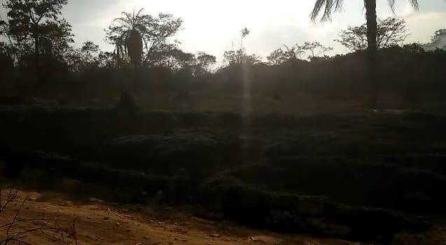 Incêndio atinge fazenda invadida por movimento social na comunidade dos Costas em Divinópolis