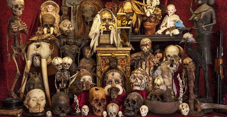 Museu bizarro reúne esqueletos e calcinha de rainha