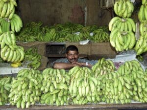 Rascunhos da Vida: Banana verde…