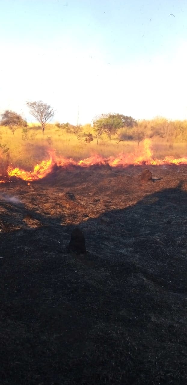 Novas informações sobre incêndio em vegetação próxima ao Fórum em Divinópolis