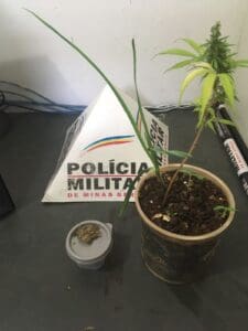 PM, Ministério Público e Polícia Civil realizam Operação ACMON; veja fotos