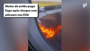 Motor de avi&atilde;o pega fogo ap&oacute;s choque com p&aacute;ssaro nos EUA e passageiros registram assista o video