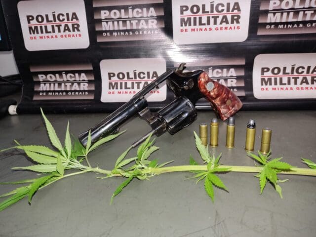 Denúncia leva Polícia a localizar arma e plantação de maconha em residência