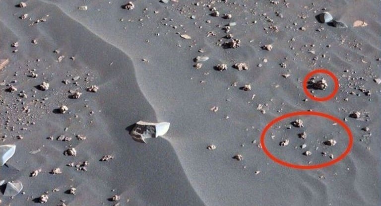 Ufólogo afirma ter visto fóssil alienígena no solo do planeta Marte