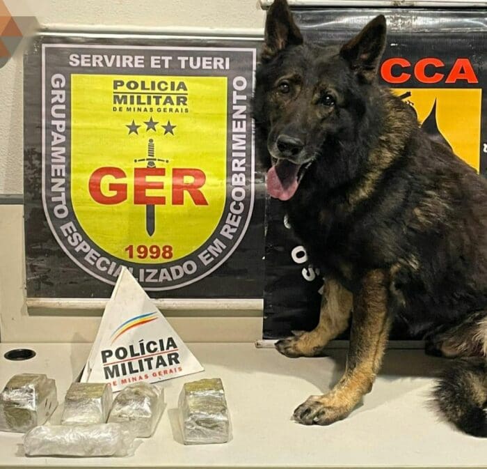 Divinópolis: Polícia Militar prende irmãos com grande quantidade de drogas com auxílio de cão farejador