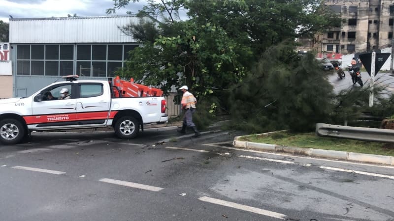 Temporal do fim da tarde desta terça (28) derrubou pelo menos três árvores em Divinópolis