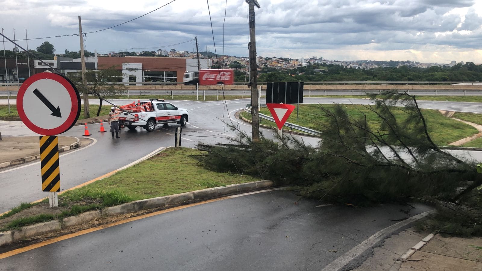 Queda de árvore fecha trânsito na saída da MG-050 no Prolongamento Bom Pastor, em Divinópolis