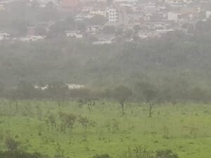 Na mata do Noé, a agua começou a chegar