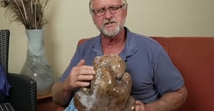 Batata gigante passa por testes genéticos antes de entrar no livro dos recordes