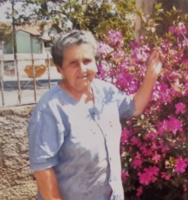 Morre Maria José Ramalhão, avó do Prefeito Gleidson