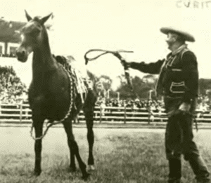 A história de Zé Capitão