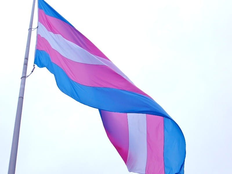 Dia da Visibilidade Trans: “Queremos expressar a identidade de gênero sem sermos agredidas”