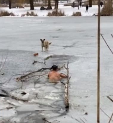 Homem entra em lago congelado seminu para salvar cãozinho