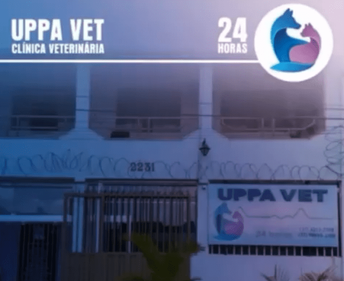 A Clínica Veterinária Uppa Vet está em ritmo de festa, 7 anos e muitas novidades