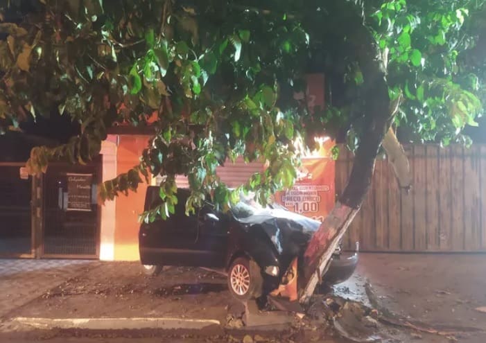 Motorista de carro que bateu em árvore, no Centro de Divinópolis, abandonou local do acidente; passageiro tinha sinais de embriaguez