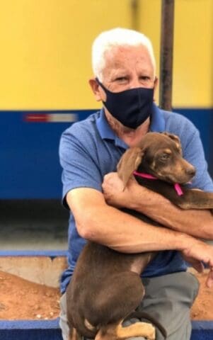 Feira de adoção de animais é realizada hoje (5) na Rua São Paulo