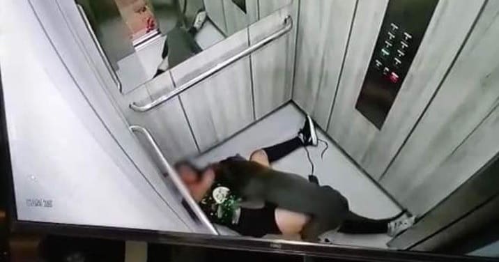 Garota atacada por Pit Bull se arrasta até o elevador para pedir socorro
