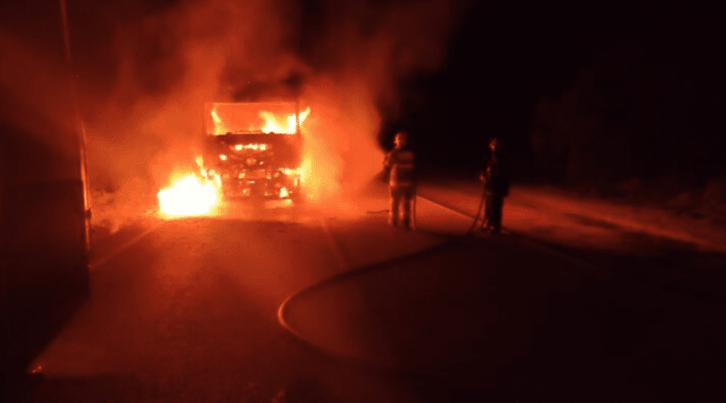 Caminhão carregado com porcos pega fogo na BR-256