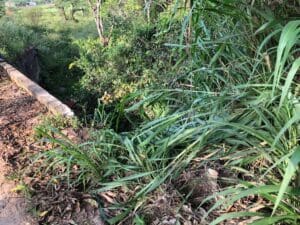 Acidente com caminhonete