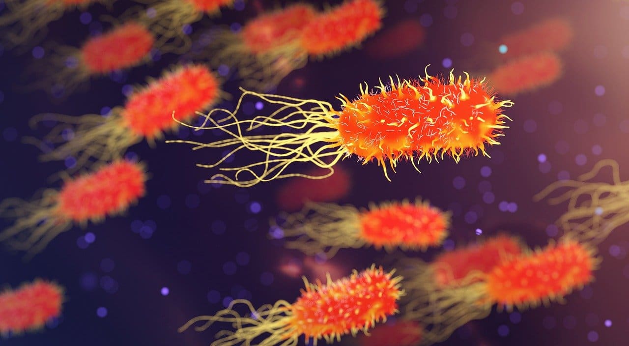 Superbactérias na água podem ser a nova ameaça para a humanidade