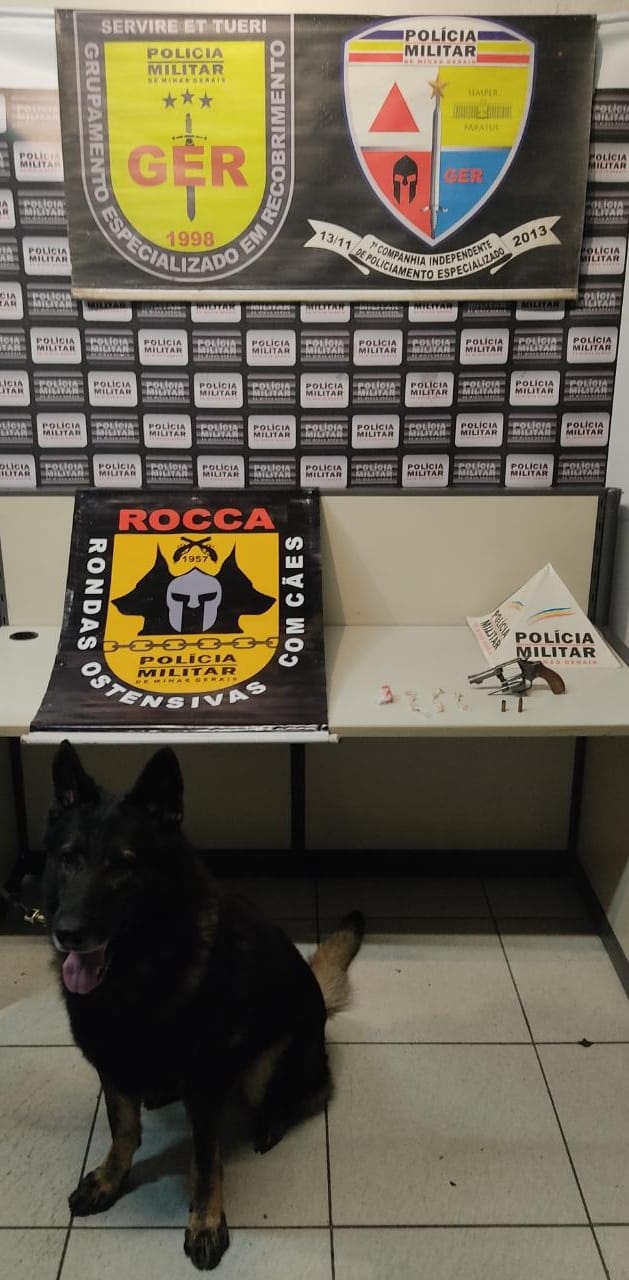 Polícia Militar apreende arma de fogo e drogas com auxílio de cão farejador