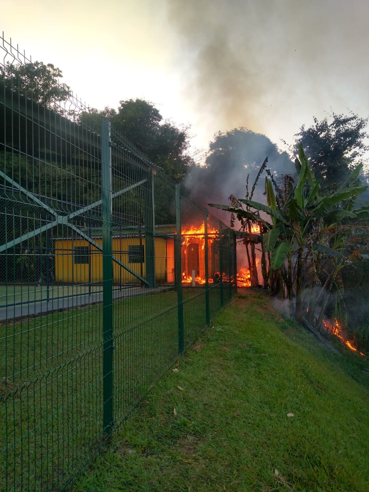 Onça de Pitangui: PM age rápido e controla incêndio antes de atingir mata
