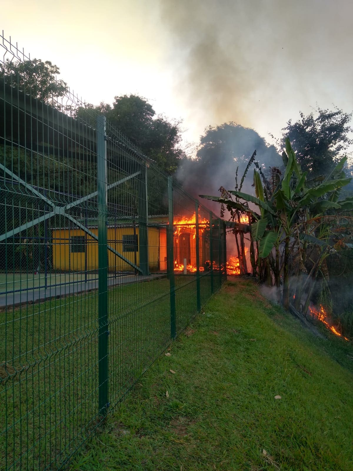 Onça de Pitangui: PM age rápido e controla incêndio antes de atingir mata