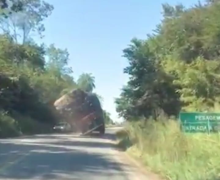 Vídeo: Carga cai de caminhão na BR-352 em Pitangui