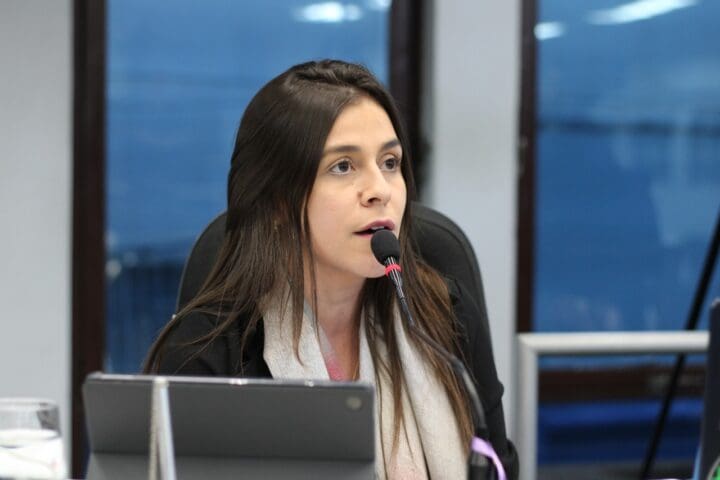 CPI da Educação: Lohanna França apresenta relatório de empresas contratadas e orçamentos