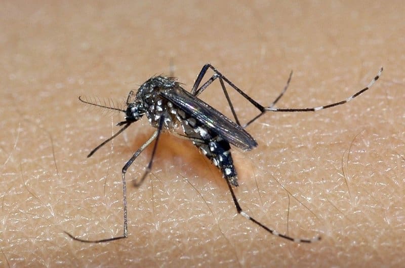 Prefeitura diz que morte por dengue em Divinópolis é erro no boletim do estado