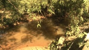 Justi&ccedil;a determina que Copasa despolua c&oacute;rrego e mantenha abastecimento de &aacute;gua no Jardim Primavera