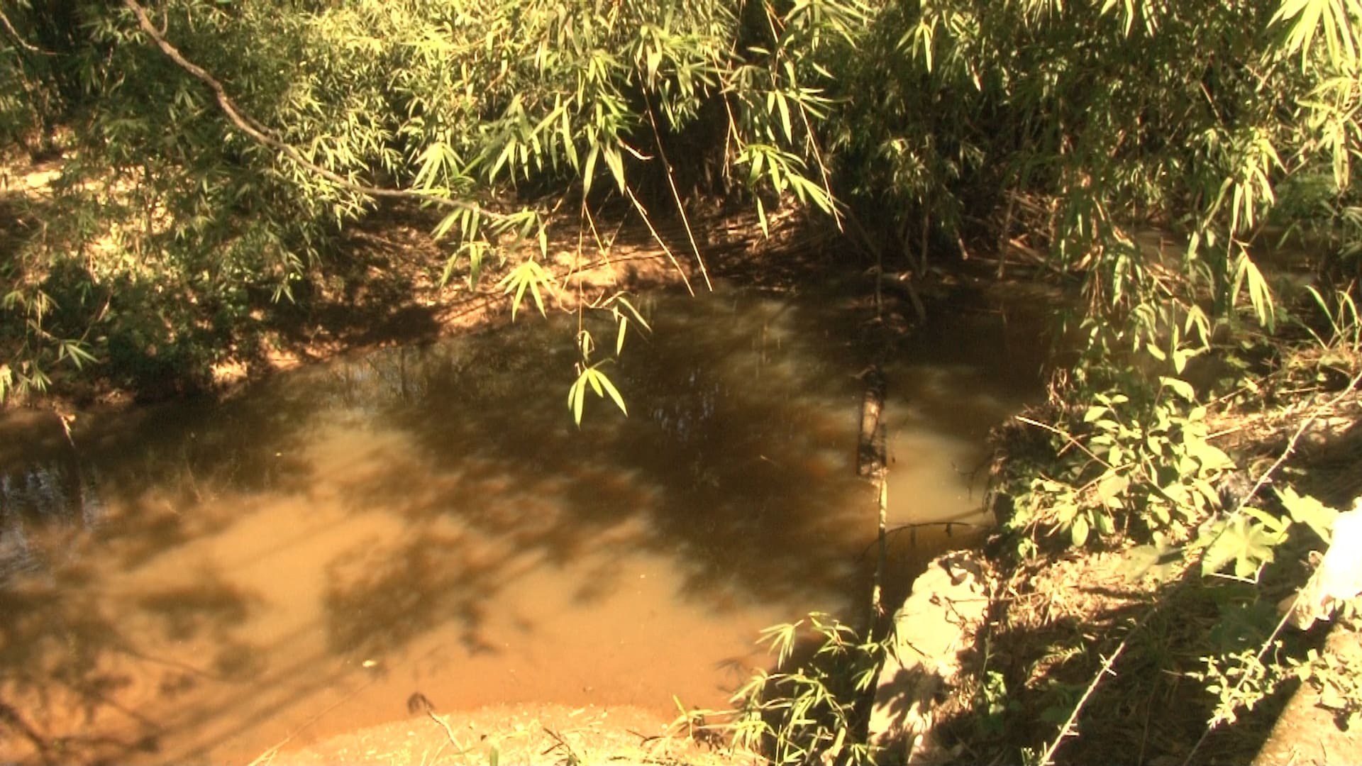 Justiça determina que Copasa despolua córrego e mantenha abastecimento de água no Jardim Primavera