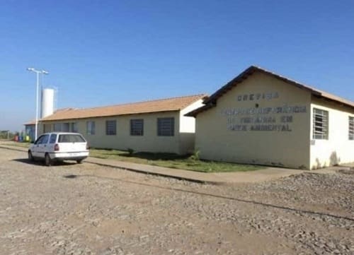 Seplam regula aproveitamento de vagas de castração de cães e gatos devido ao não comparecimento