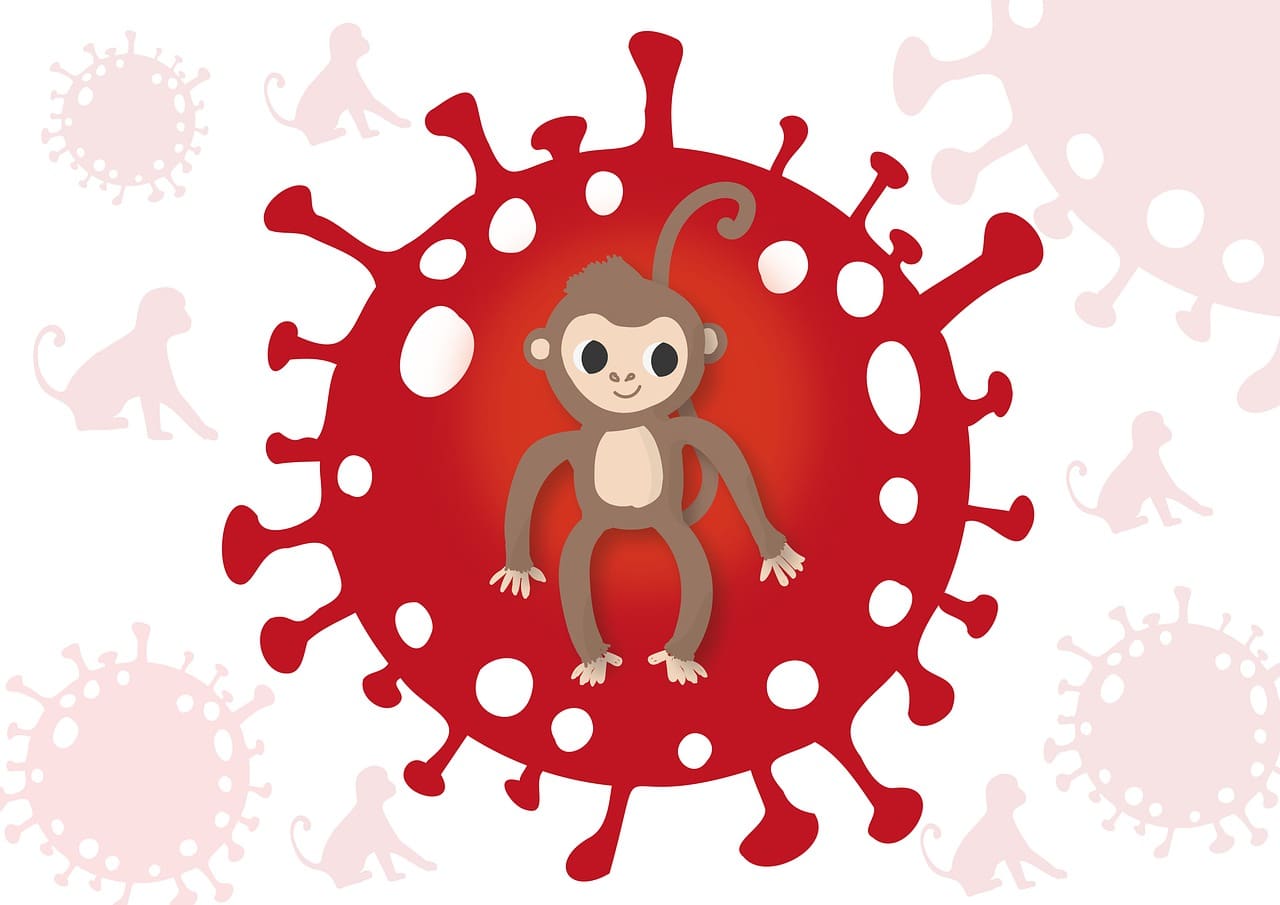 Varíola dos macacos: Minas Gerais investiga suspeita de primeira morte do país