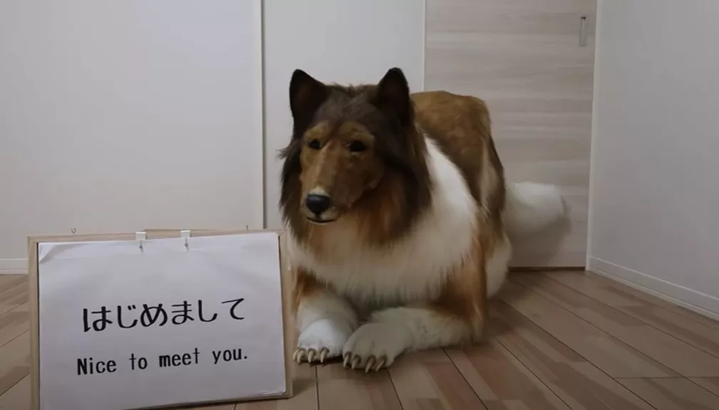 Japonês se transforma em cão da raça Collie com uma fantasia de R$ 75 mil