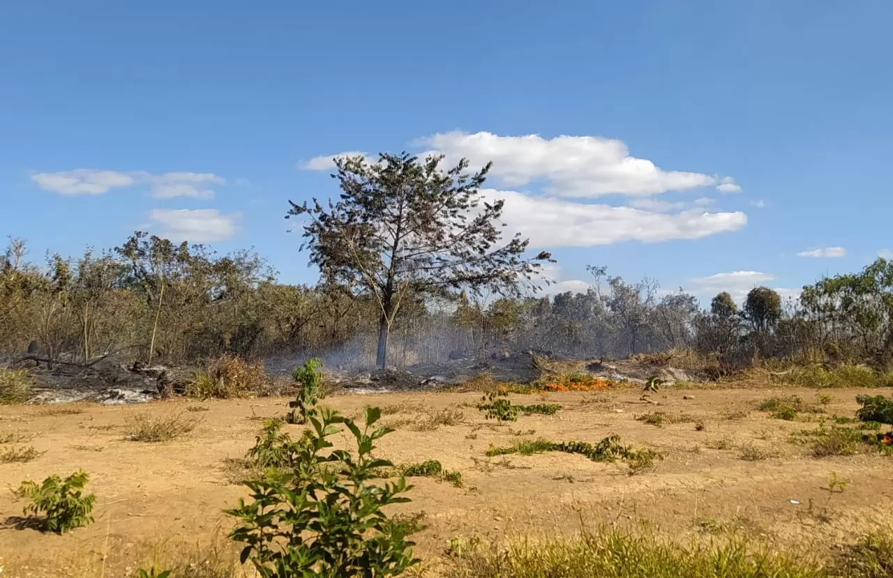 Bombeiros trabalharam por mais de três horas para apagar fogo em Carmo do Cajuru