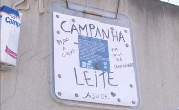 Projeto arrecada leite para fam&iacute;lias carentes de Divin&oacute;polis; produto subiu quase 70% em um ano