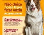 Evento Amigo PET realiza c&atilde;ominhada e arrecada alimentos para ONGs