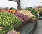 Saiba como higienizar e armazenar frutas e legumes para evitar contamina&ccedil;&otilde;es e desperd&iacute;cio