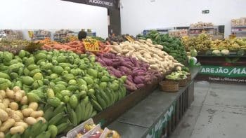 Saiba como higienizar e armazenar frutas e legumes para evitar contamina&ccedil;&otilde;es e desperd&iacute;cio