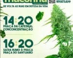 Marcha da Maconha em Divin&oacute;polis ser&aacute; dia 17 de setembro