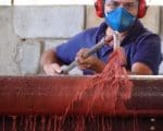 Divin&oacute;polis registra saldo positivo de 779 novas empresas