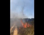 Homem furta e ateia fogo em ambulância do SAMU em São Roque de Minas