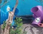 Vereador denuncia que play balls n&atilde;o est&atilde;o sendo utilizados em escola de Divin&oacute;polis