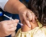 Covid 19: Butantan entrega 1 milhão de doses de CoronaVac para crianças; confira como está a vacinação em Divinópolis