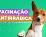 Vacina para c&atilde;es e gatos chega as regi&otilde;es norte e nordeste de Divin&oacute;polis