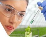 Empresa ICL lidera mercado de inova&ccedil;&atilde;o e tecnologias para agroneg&oacute;cio