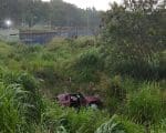 Carro com casal e criança de 6 anos capota e cai em ribanceira na MG-050 em Divinópolis