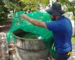 Divinópolis sob ameaça de epidemia de dengue